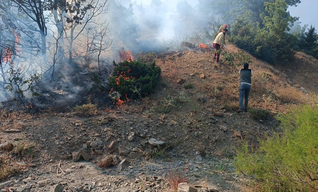 Bingöl'deki orman yangını söndürüldü 3